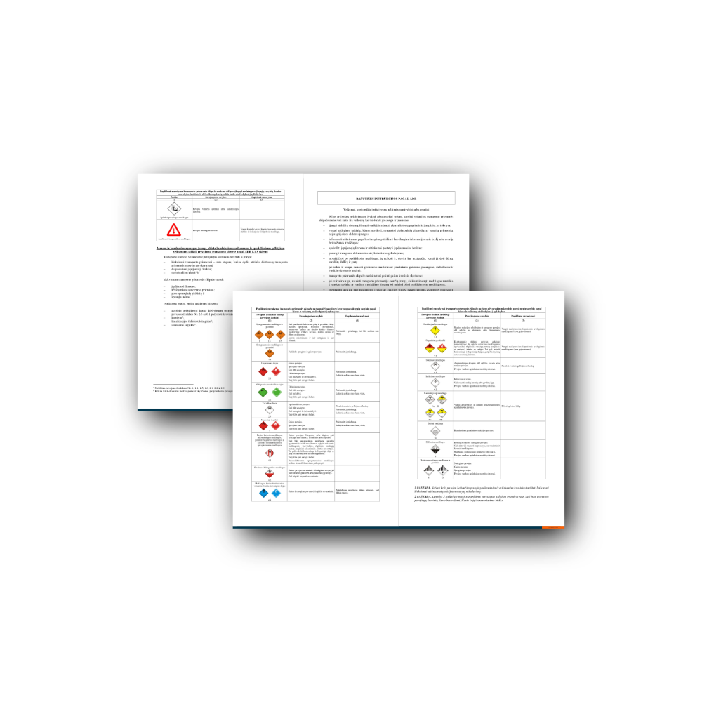 ADR Instructions in Writing – Lithuanian, A4, Laminated (10pcs)